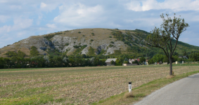 Hundsheimer Berge